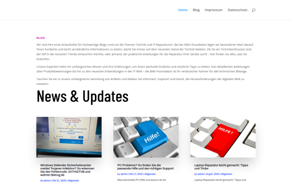 bmu-foundation.ch
