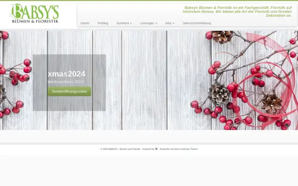 www.babsys.de