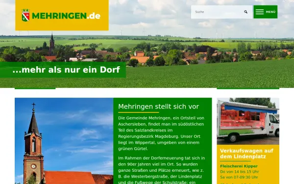 mehringen.de