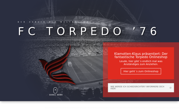 fc-torpedo76.de
