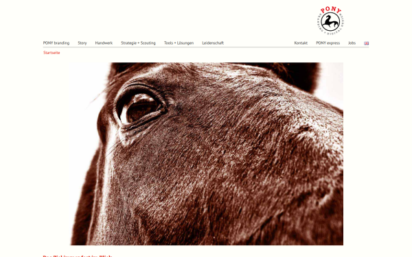 www.pony-branding.com