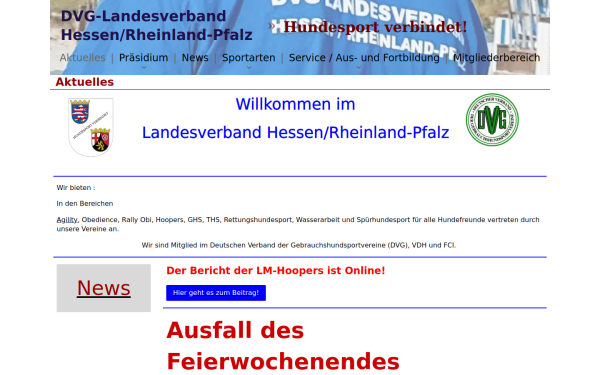 dvg-hrp.de