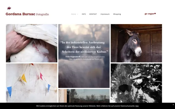 www.gordana-bursac.de