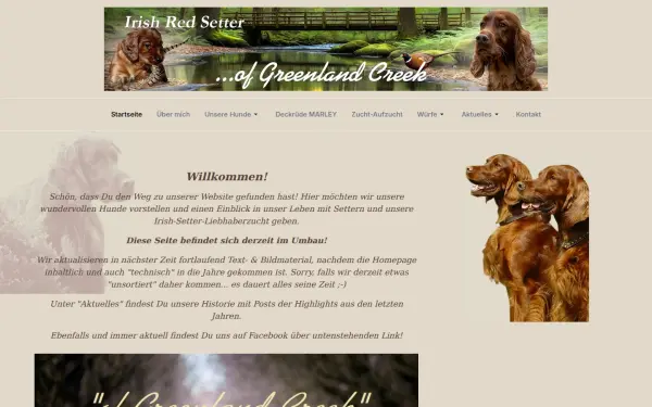 greenlandcreek-setter.de