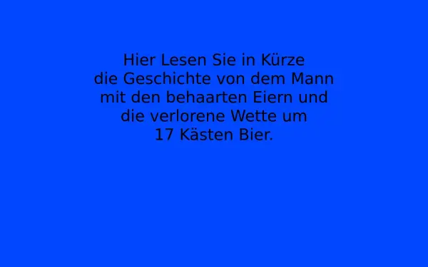 17kastenbier.de