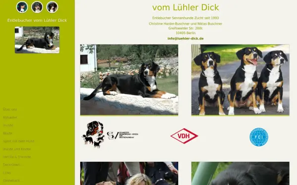 luehler-dick.de