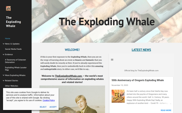www.theexplodingwhale.com