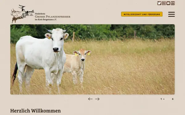 www.megaherbivoren.de