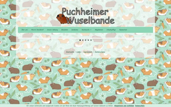 www.puchheimer-wuselbande.de