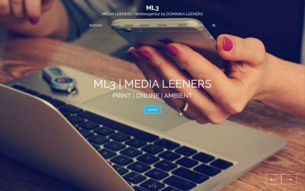 ml3.de