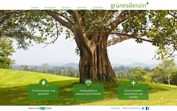 gruenesbenzin.de