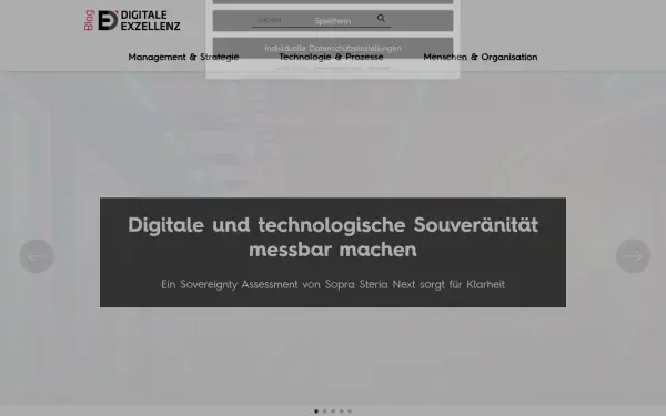 www.digitale-exzellenz.de