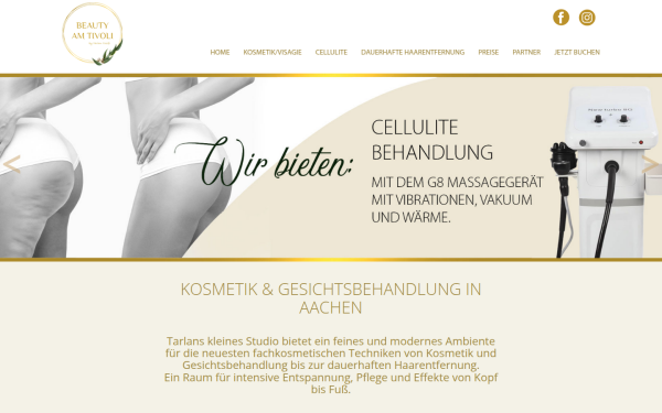 www.tarlan-tosifi.com