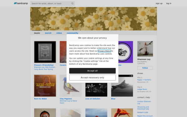 shannonlay.bandcamp.com