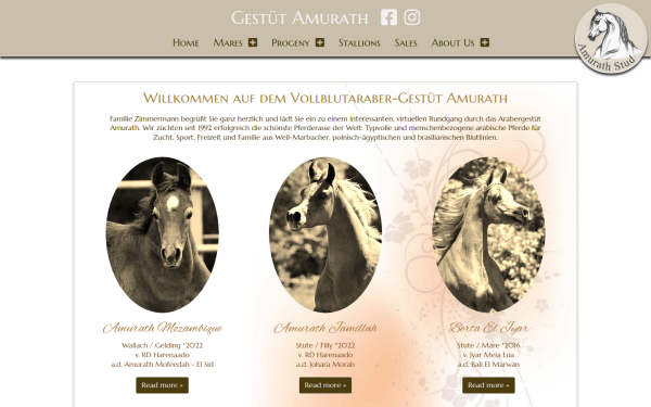 www.gestuet-amurath.de
