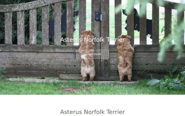 asterus.de