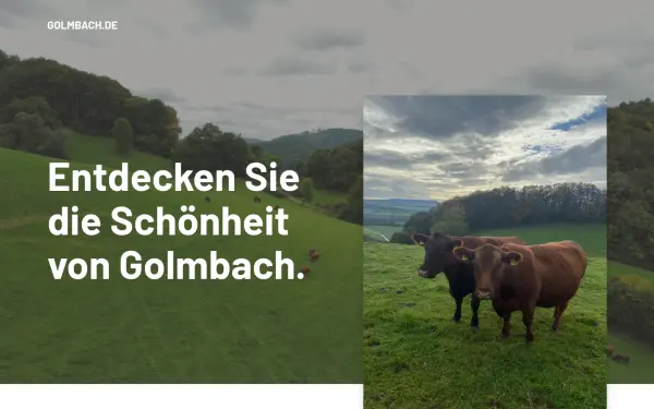 golmbach.de