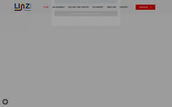 linz-gmbh.de