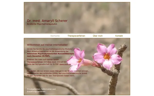 psychotherapie-scherer.de