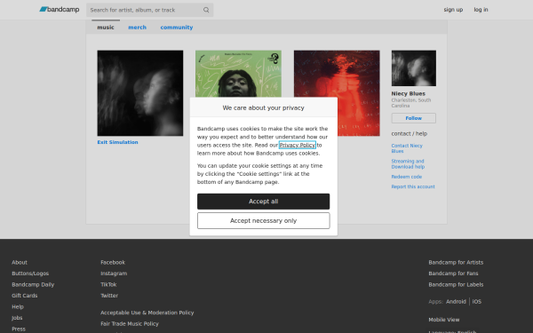 niecyblues.bandcamp.com