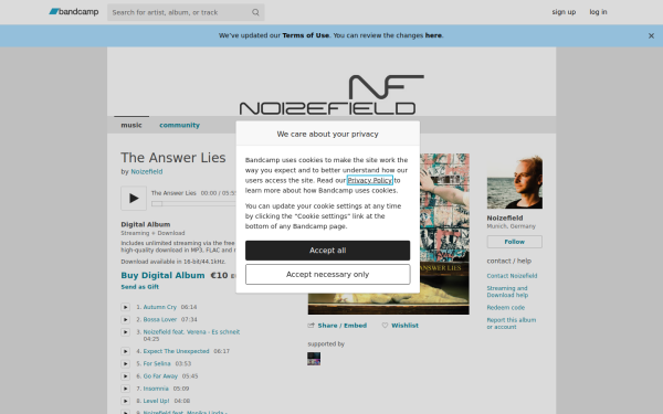 noizefield.bandcamp.com