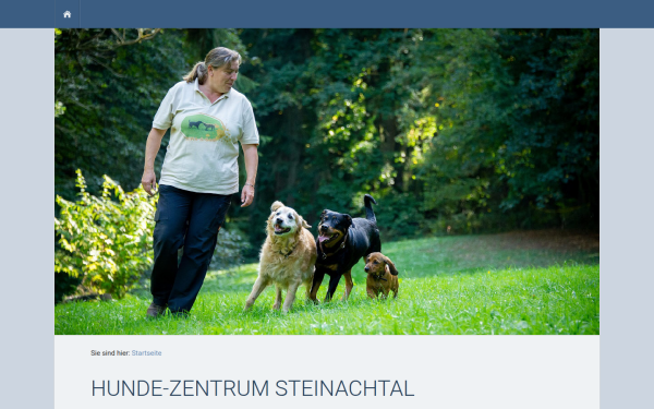 teamfrey.de
