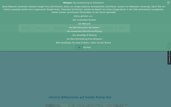 golden-rising-star.de
