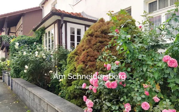 am-schneidersberg.de