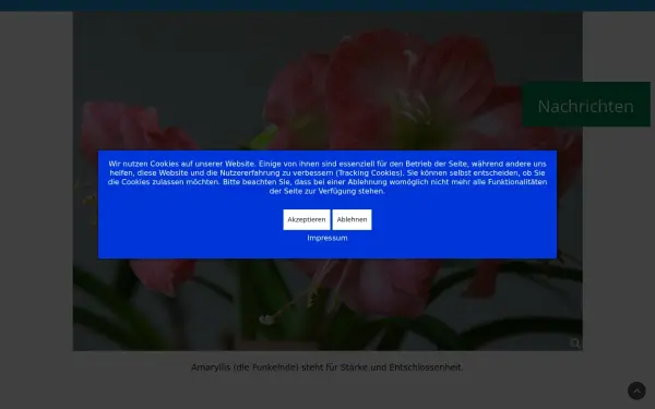 mednet.de