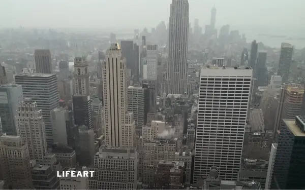 lifeart.de