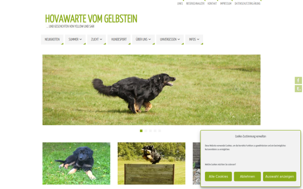 gelbstein-hovawart.de