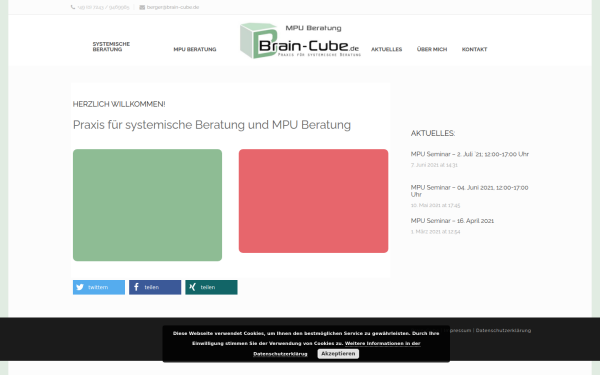 www.brain-cube.de