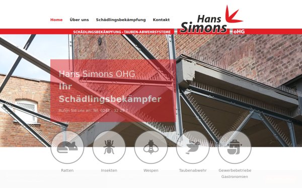 www.hans-simons.de