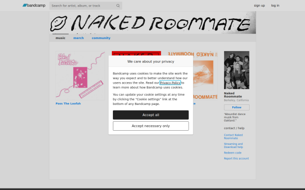 nakedroommate.bandcamp.com