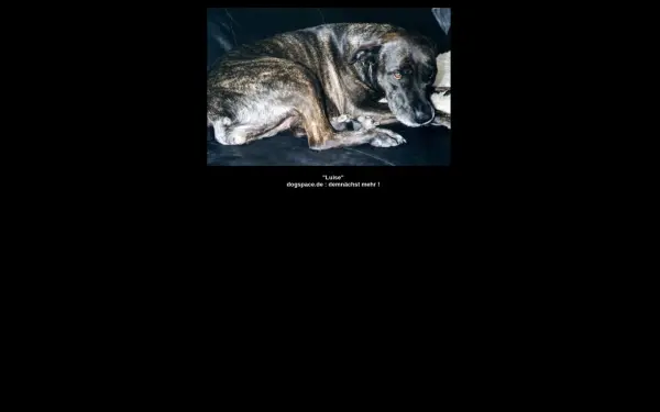 dogspace.de