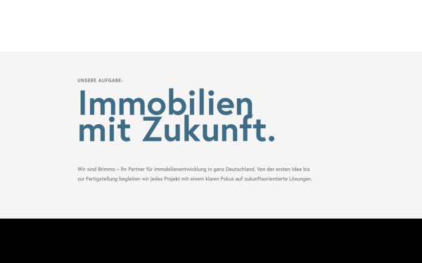 www.brimmo.de
