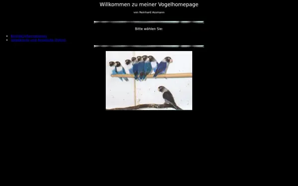 aga-assmann.de