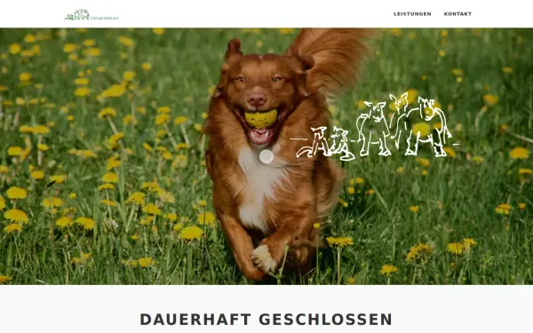 chiropraktik.vet