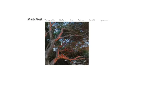 maik-voit.de