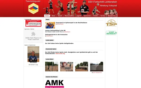 lichtensteiner-volleyball.de