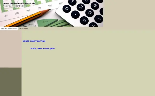 lichtwesen-goch.de