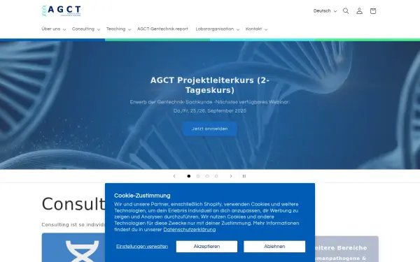 agct-consulting.de