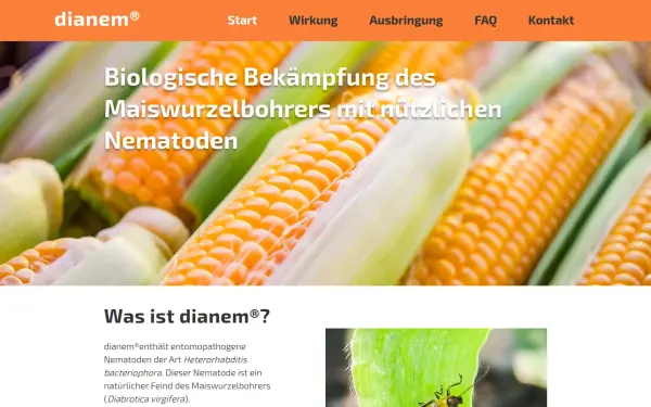 www.dianem.de