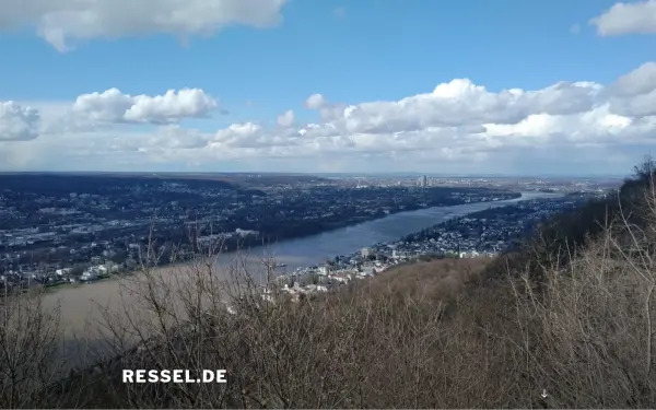 www.ressel.de