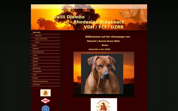 www.dalili-djambo.de