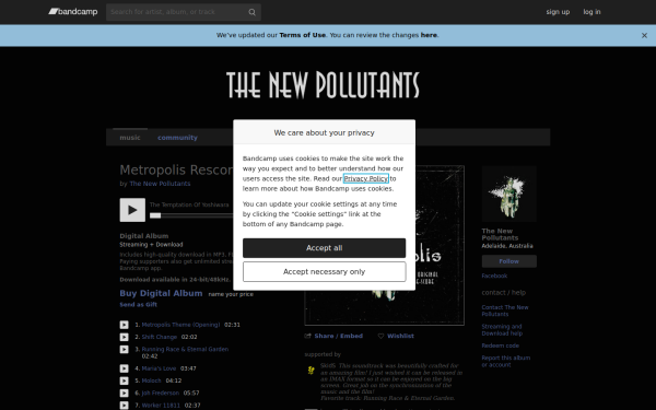 thenewpollutants.bandcamp.com