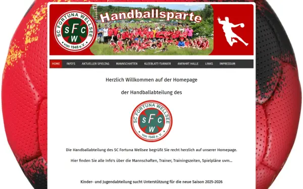 handball-fortuna-wellsee.de