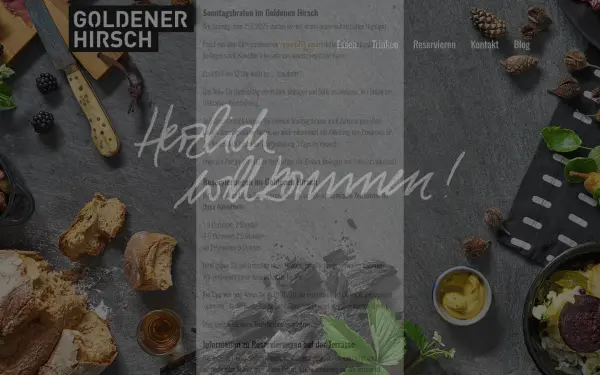 www.goldener-hirsch-mainz.de