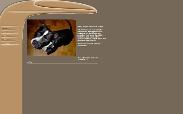 mad-dogs.de