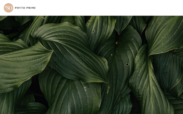 phytoprime.at